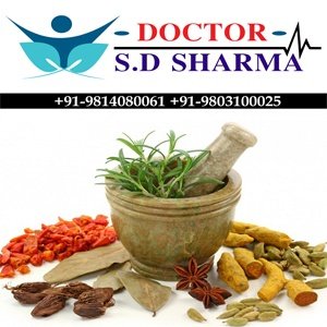 Best Ayurvedic Treatment | Famous Treatment World Wide | Dr SD Sharma