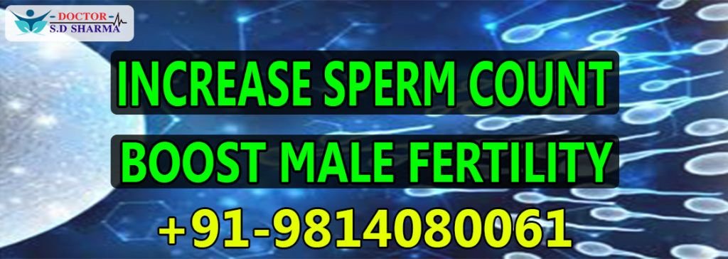 Low | Sperm Count | Nil | Boost | No | Male Fertility | Low Sperm Count in Jalandhar | Low Sperm Count in Punjab | Low Sperm Count In Ludhiana | Low Sperm Count in Amritsar | Low Sperm Count in Phagwara | Low Sperm Count in Goraya | Low Sperm Count in Samrala | Low Sperm Count In Khanna | Low Sperm Count in Ferozpur | Low Sperm Count in Patiala | Low Sperm Count in Batala | Low Sperm Count in Moga | Low Sperm Count in Sangrur | Low Sperm Count in Faridkot | Low Sperm Count In Pathankot | Low Sperm Count In Jammu And Kashmir | Low Sperm Count In Rajpura | Low Sperm Count in Gobindgarh | Low Sperm Count In Himachal Pradesh | Low Sperm Count In Haryana | Low Sperm Count in Ambala | Low Sperm Count in Amabala Cantt | Low Sperm Count in Sonipat | Low Sperm Count in Panipat | Low Sperm Count in Chandigarh | Low Sperm Count in Mohali | Low Sperm Count in Kharar | Low Sperm Count in Nawan Shehar | Low Sperm Count in Ropar | Low Sperm Count in Panchkula | Low Sperm Count in Zirakpur | Low Sperm Count in Delhi NCR | Low Sperm Count in Gurugram | Low Sperm Count in Noida | Low Sperm Count in Uttarakhand | Low Sperm Count in Goa | Low Sperm Count In Maharashtra | Low Sperm Count In Gujrat | Low Sperm Count in Madhya Pradesh | Low Sperm Count in Andhra Pradesh | Low Sperm Count in Kerala | Low Sperm Count in Karnataka | Low Sperm Count in Tamil Nadu | Low Sperm Count in Bangalore | Low Sperm Count in Mangalore | Low Sperm Count in Chennai | Low Sperm Count in Rajasthan | Low Sperm Count in Bihar | Low Sperm Count in London | Low Sperm Count In Luton | Low Sperm Count in Birmingham | Low Sperm Count in Wolverhampton | Low Sperm Count in South Hall (UB2) | Low Sperm Count in Scotland | Low Sperm Count in England | Low Sperm Count in Sydney | Low Sperm Count in Melbourne | Low Sperm Count in Brisbane | Low Sperm Count in Perth | Low Sperm Count in Adelaide | Low Sperm Count in Australia | Low Sperm Count in Auckland | Low Sperm Count in New Zealand | Low Sperm Count in Wellington | Low Sperm Count in Christchurch | Low Sperm Count in Queenstown | Low Sperm Count in Queensland | Low Sperm Count in Brampton | Low Sperm Count in Toronto | Low Sperm Count in Ontario | Low Sperm Count in Mississauga | Low Sperm Count in New South Wales | Low Sperm Count in Vancouver | Low Sperm Count in dubai | Low Sperm Count in Germany | Low Sperm Count in Fiji | Low Sperm Count in India | Low Sperm Count in Wembley | Low Sperm Count in California | Low Sperm Count in New York | Low Sperm Count in United States Of America | Low Sperm Count in New Jersey | Low Sperm Count in Nevada | Low Sperm Count In Florida | Low Sperm Count in Texas | Low Sperm Count in Alaska | Low Sperm Count in Hawaii | Low Sperm Count in Minnesota | Low Sperm Count in World